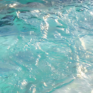 很黄很刺激的18禁网站
